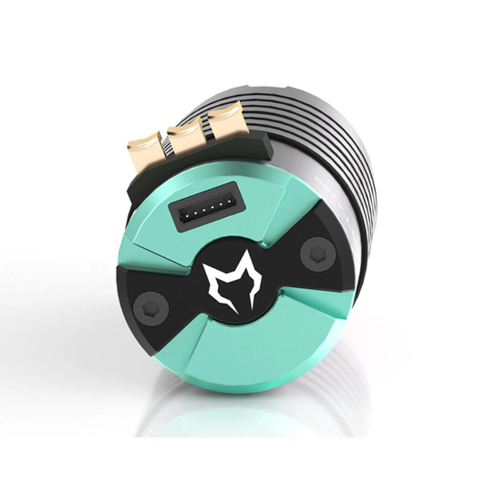 Cayote Crest 4268 1/8 Sensored Brushless Motor (1900kV) (IFMAR)
