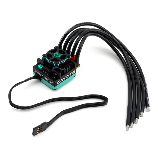 Cayote Crest RS120 1/10 Stock 120A Sensored Brushless Competition ESC